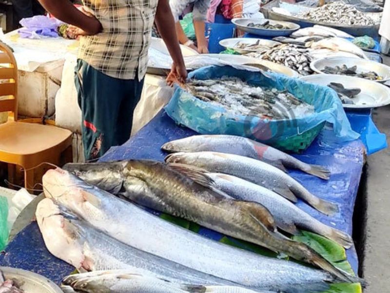সড়কের ওপর শতবর্ষী হাট, প্রতি হাটে বিক্রি আড়াই কোটি টাকার মাছ